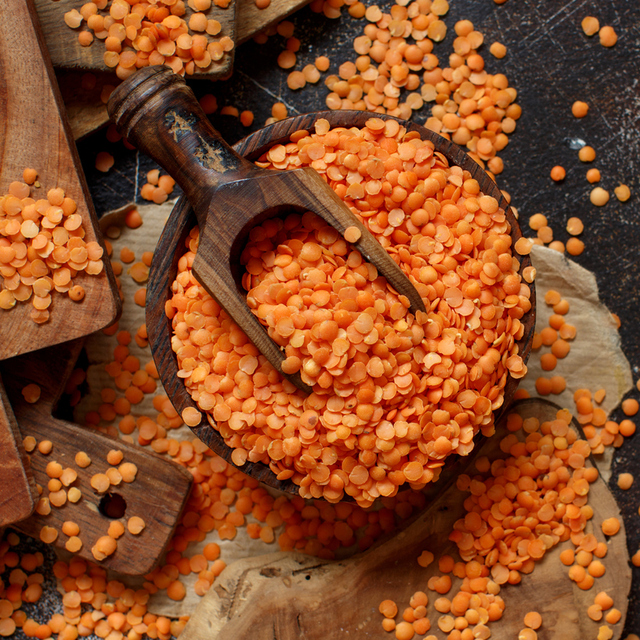 Mercimek nasıl yetişir?