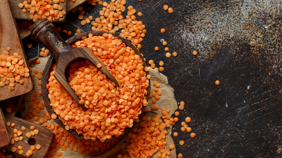 Mercimek nasıl yetişir?