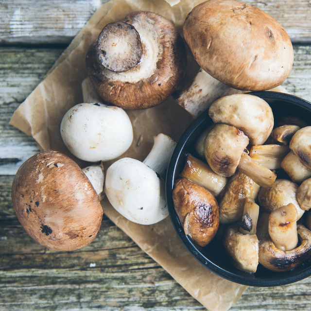 Kültür mantarı nasıl yetiştirilir?