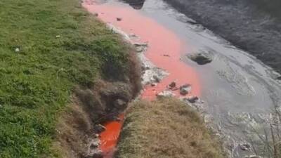 Derenin rengi değişti: Kimyasal atık iddiası!