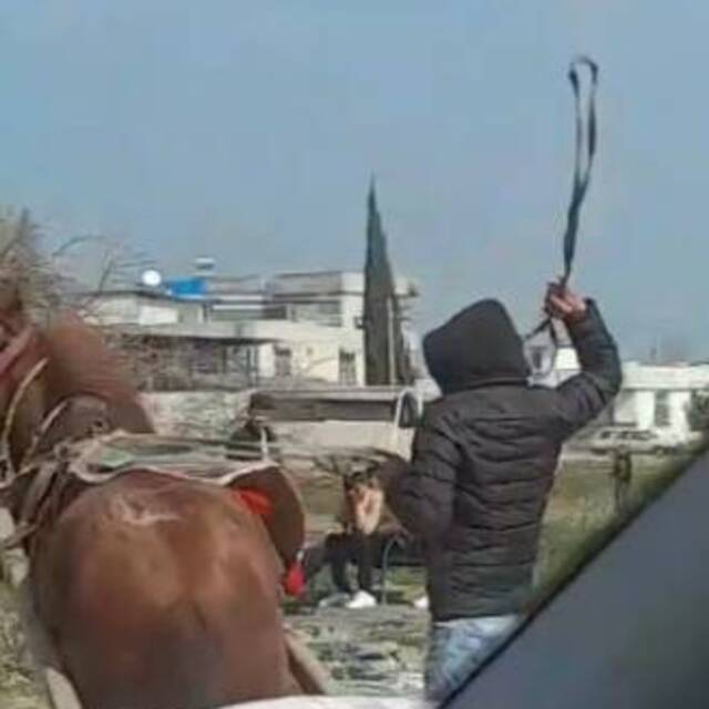 Ata kemerli işkenceye "barınakta çalışma" cezası