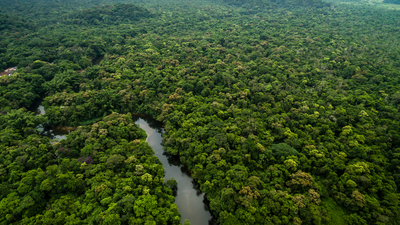 Amazon ormanlarında kayboldu, 31 gün sonra sağ bulundu