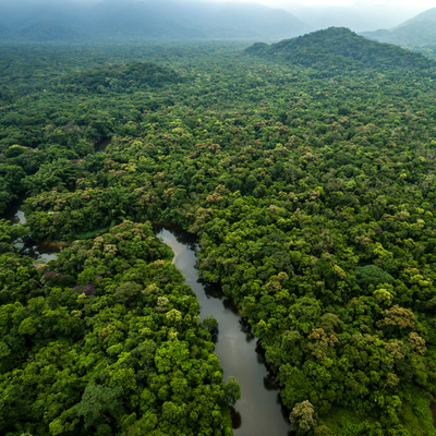 Amazon ormanlarında kayboldu, 31 gün sonra sağ bulundu