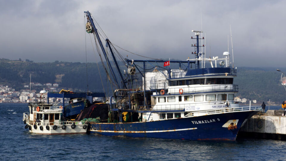 Balıkçıların ağına uçan balık takıldı
