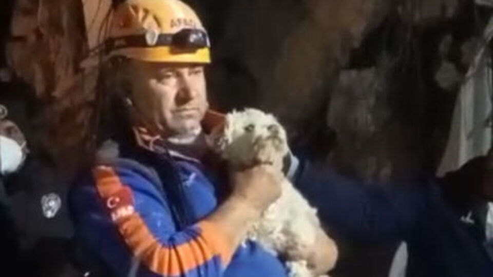 Depremin 25'inci gününde enkazdan bir köpek canlı çıkartıldı