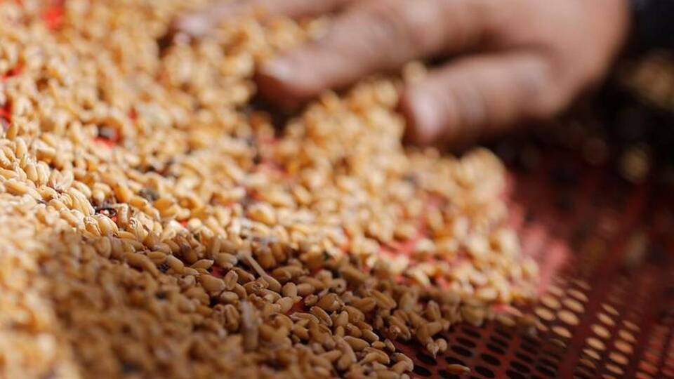 Küresel gıda fiyatları 11 aydır düşüyor