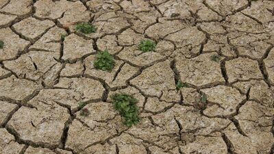 İstanbul'da barajlar alarm veriyor!