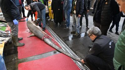 "Camgöz" satışına 33 bin lira ceza