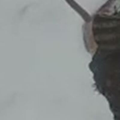 Tipide şarjı biten çifte drone ile pil gönderdiler!