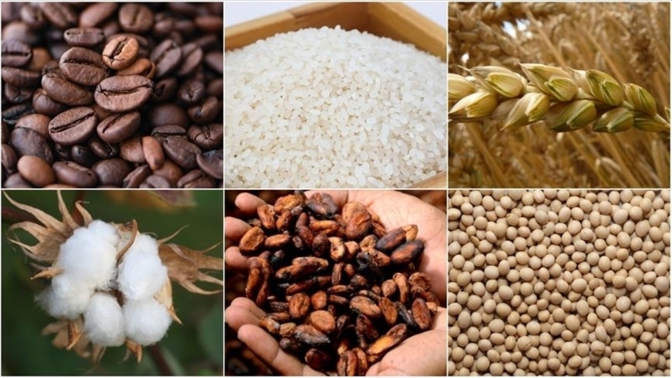 Emtia piyasası geçen hafta pozitif seyretti