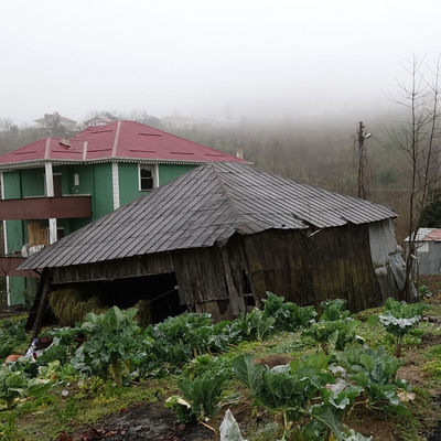 Trabzon'da depremi hissedip, heyelan korkusu yaşadılar!