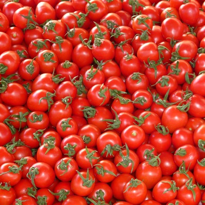 Domateste ihracat yasağı kaldırıldı