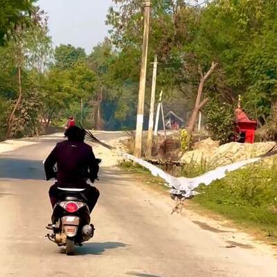 Tarlada yaralı halde buldu, dostu oldu!