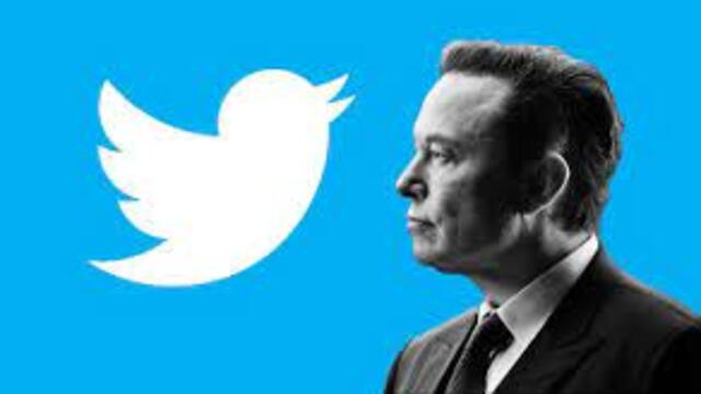 Şirket içi belgelerine inceleme talebi