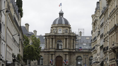 Fransa'da Senato en tartışmalı maddeyi onayladı