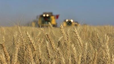 Migros'tan deprem bölgesindeki üreticiye destek