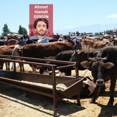 Şap piyasayı nasıl etkiler?