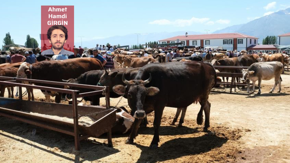 Şap piyasayı nasıl etkiler?