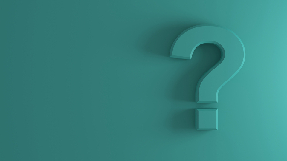 C harfiyle başlayan hayvan isimleri