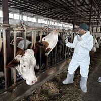 1 milyon doz aşı sevk edildi