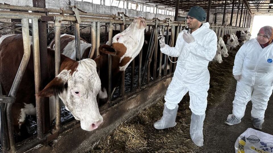 1 milyon doz aşı sevk edildi