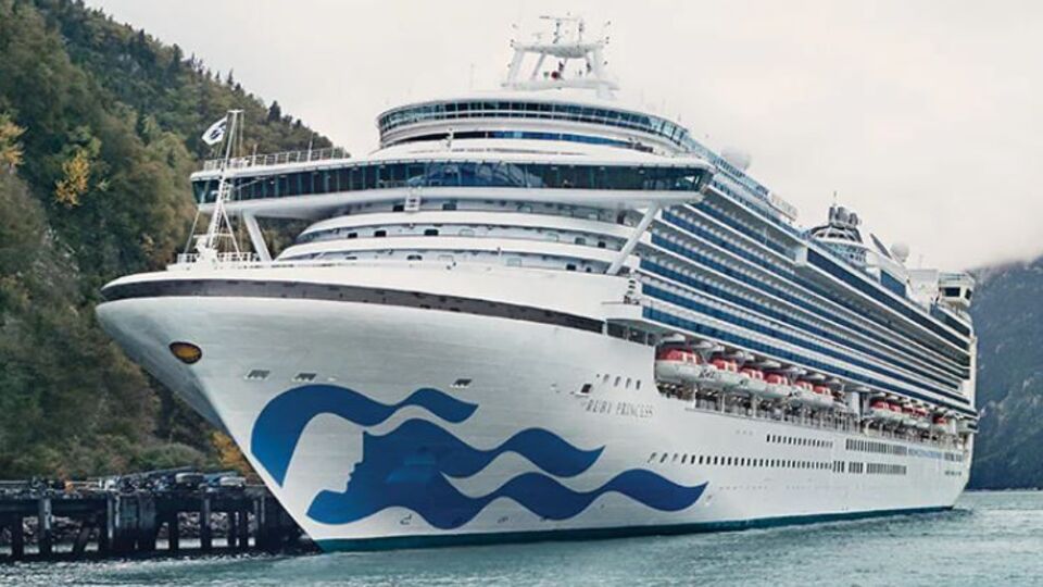 Lüks yolcu gemisindeki 318 kişide 'gizemli hastalık'