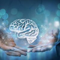 Yüksek zekayı gösteren 7 işaret!