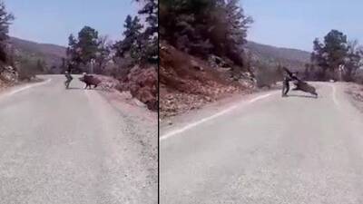 Görüntülemek istedi, canını zor kurtardı