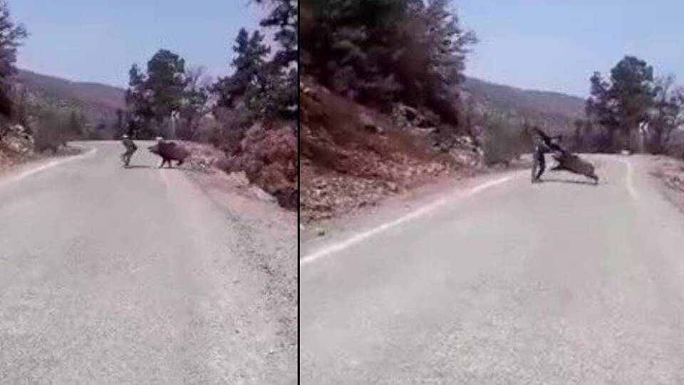 Görüntülemek istedi, canını zor kurtardı