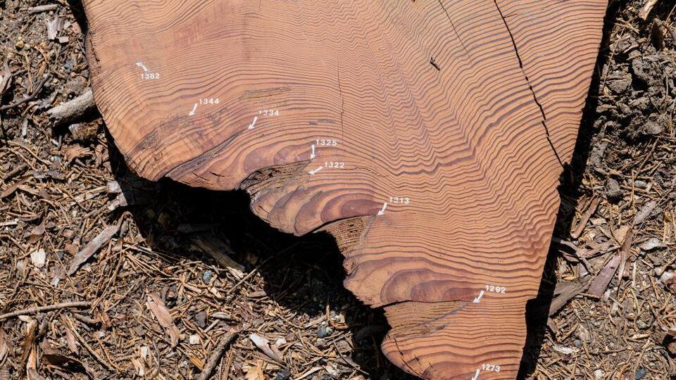 Hititlerin sonunu kuraklık mı getirdi?