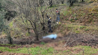 Budamak için çıktığı ağaçtan düşerek öldü