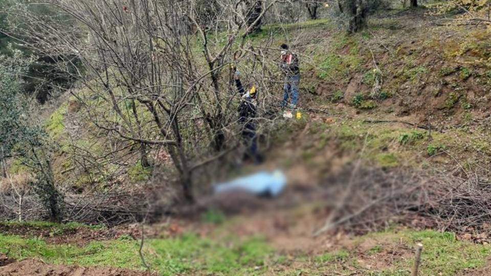 Budamak için çıktığı ağaçtan düşerek öldü