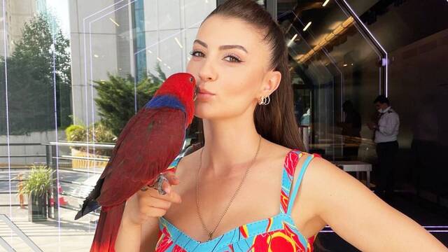 Papağanı bulundu
