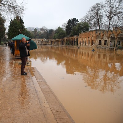 Balıklıgöl'deki balıklara ne oldu?