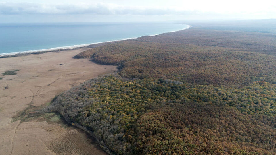Longoz Ormanları ve Erikli Gölü koruma altına alındı!