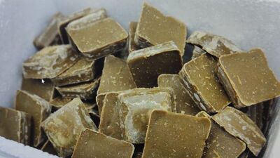 Kuduzla mücadele kapsamında havadan aşılı yem bırakılacak