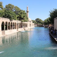 Balıklıgöl balıklarının sırrı nedir?