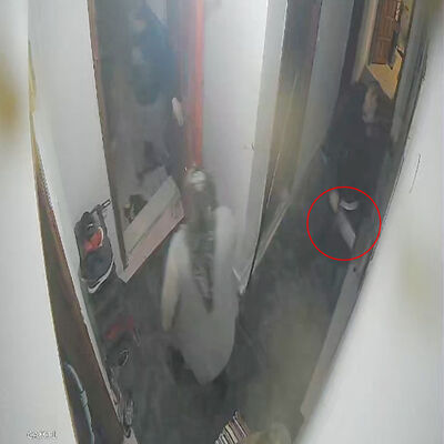 Dehşet güvenlik kamerasında! 3 aylık eşe satırlı saldırı!