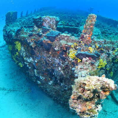 Çanakkale Savaşları'ndan kalma 108 yıllık batık gemiler görüntülendi