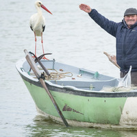 Yaren leylek 12. kez Adem amcaya kavuştu