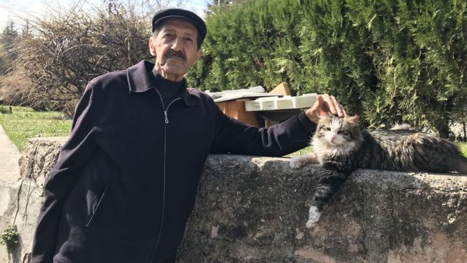 Komşularının istemediği kedileri için parka ev yaptı