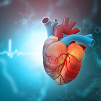 Tam bir antioksidan deposu olan 20 muhteşem besin!