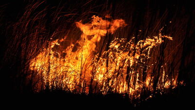 Mersin'deki Göksu Deltası'nda yangın