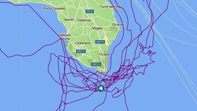 Caretta caretta 'Tuba' 8 milyon izlendi