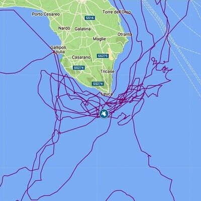 Caretta caretta 'Tuba' 8 milyon izlendi