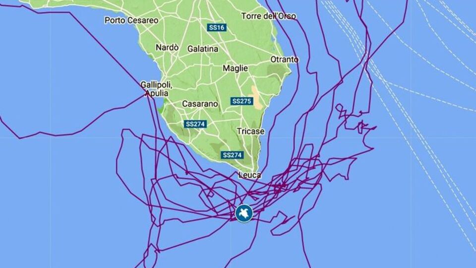 Caretta caretta 'Tuba' 8 milyon izlendi