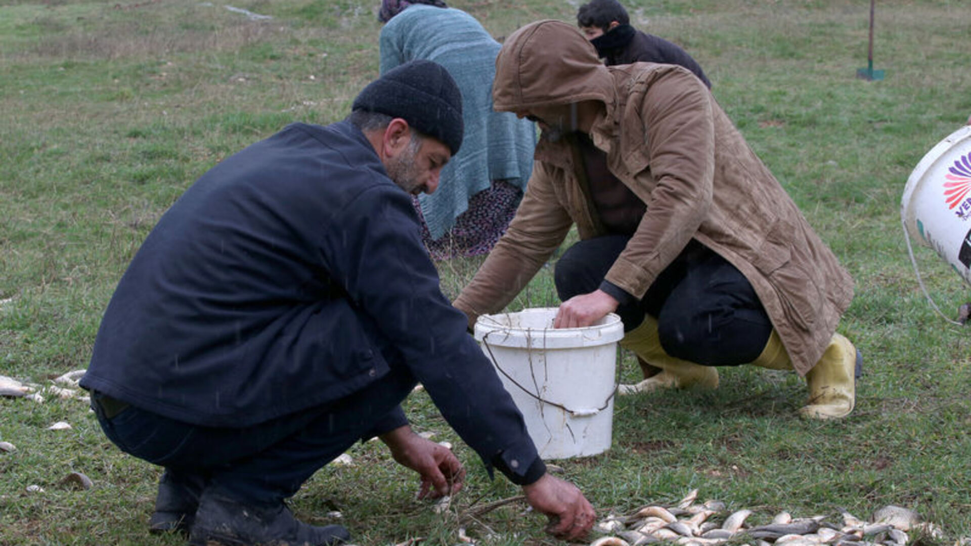 Depremzedeler karaya vuran balıkların yaşaması için seferber oldu