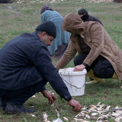 Kendi dertlerini unutup balıklara koştular... Kovalarla topladılar!