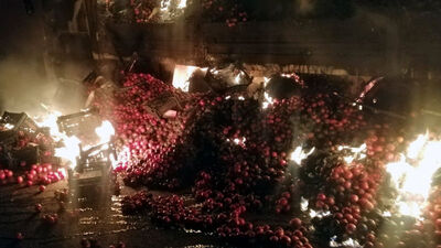 Domates yüklü kamyonun kasası yandı