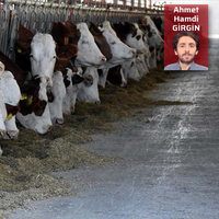 Et ithalatına devam